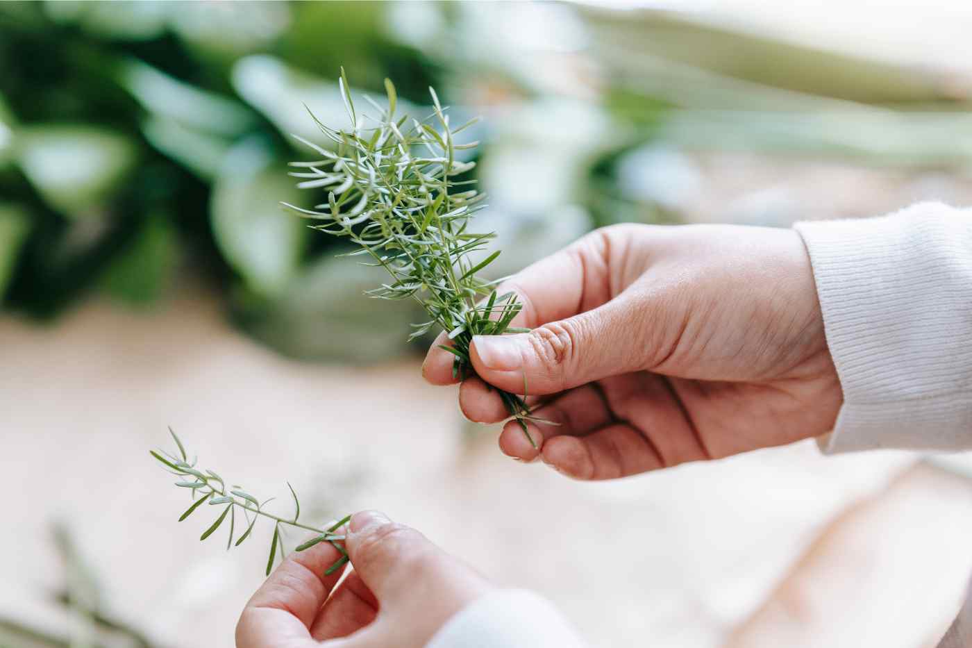 Can You Burn Rosemary As Incense